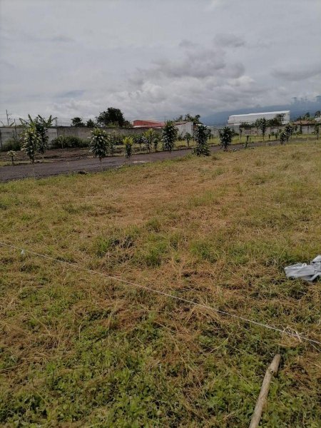 Foto Terreno en Venta en Santo Domingo, Heredia - ¢ 82.000.000 - TEV78536 - BienesOnLine