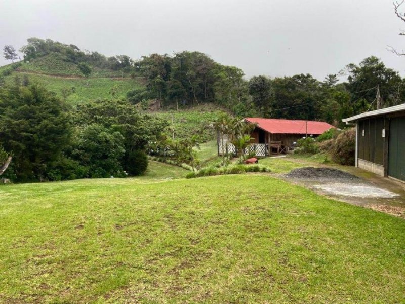 Foto Finca en Venta en Zapotal, San Ramón, Alajuela - U$D 100.000 - FIV68803 - BienesOnLine