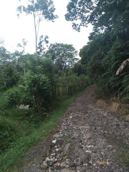 Finca en Venta en Cimarrones de Santa Teresita de Turrialba Santa Teresita, Cartago