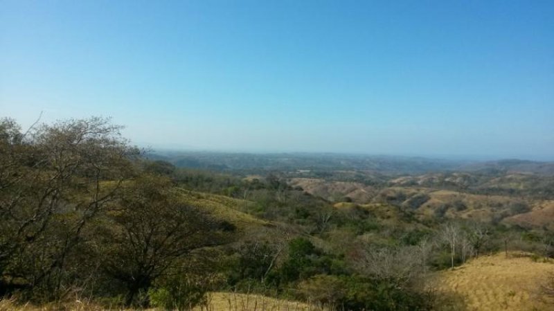 Finca en Venta en  San Ramón, Alajuela