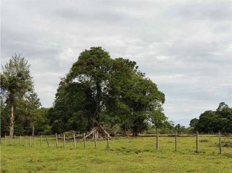 Terreno en Venta en  Sarapiquí, Heredia