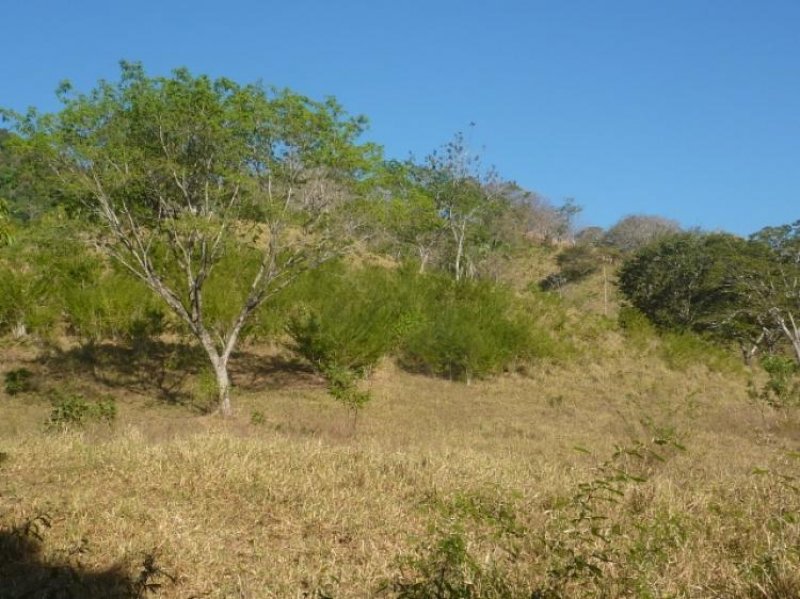 Foto Finca en Venta en Caimital, Nicoya, Guanacaste - 8 hectareas - U$D 125.000 - FIV6795 - BienesOnLine