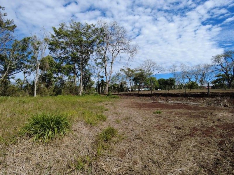 Foto Terreno en Venta en San Juan, San Ramón, Alajuela - ¢ 40.000.000 - TEV71497 - BienesOnLine