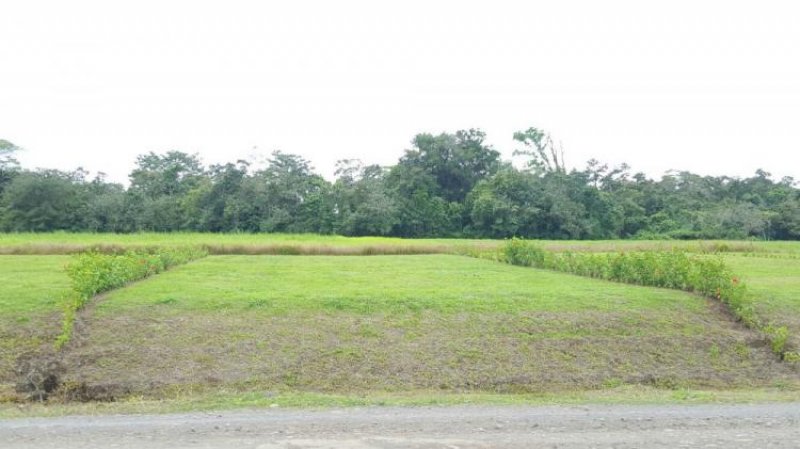 Foto Terreno en Venta en La Fortuna de San Carlos, Fortuna, Alajuela - U$D 25.000 - TEV7753 - BienesOnLine