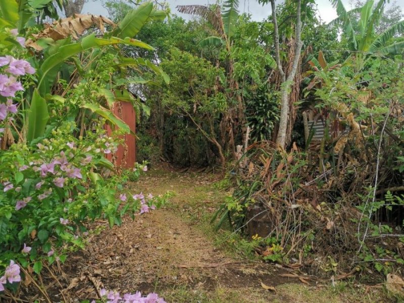 Foto Terreno en Venta en San Pablo, Heredia - ¢ 420.000.000 - TEV78968 - BienesOnLine