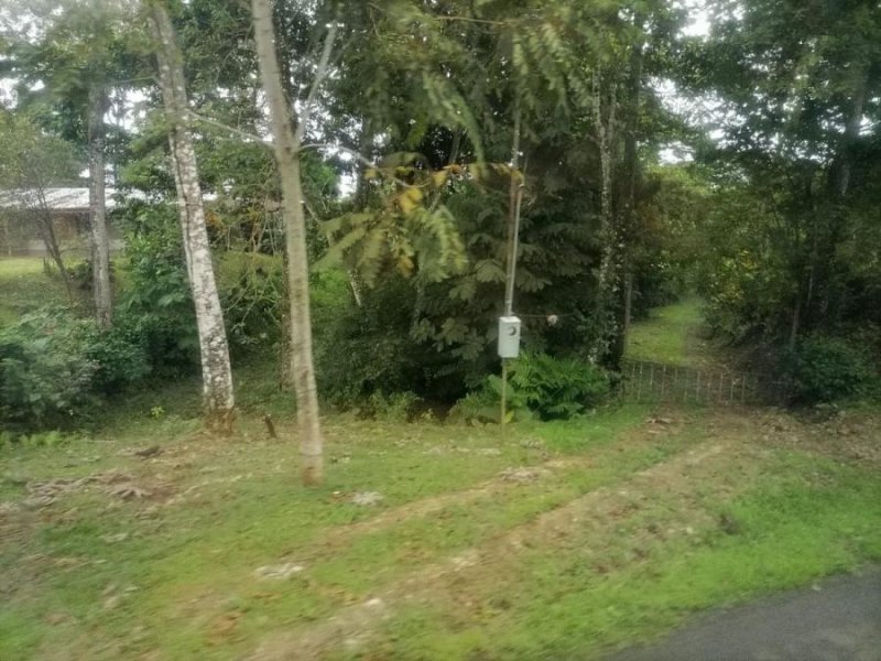 Foto Terreno en Venta en Chachagua, Alajuela - ¢ 46.000.000 - TEV44035 - BienesOnLine