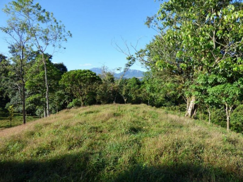 Terreno en Venta en La Virgen Sarapiquí, Heredia