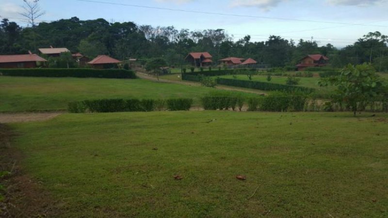 Foto Terreno en Venta en Fortuna, Alajuela - ¢ 16.100.001 - TEV10681 - BienesOnLine