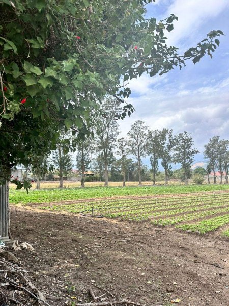 Terreno en Venta en  Oreamuno, Cartago