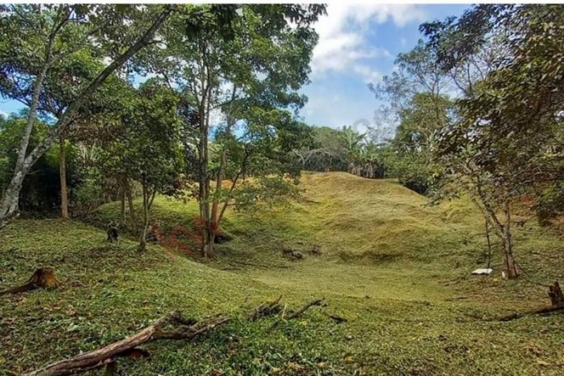 Terreno en Venta en  Puriscal, San José