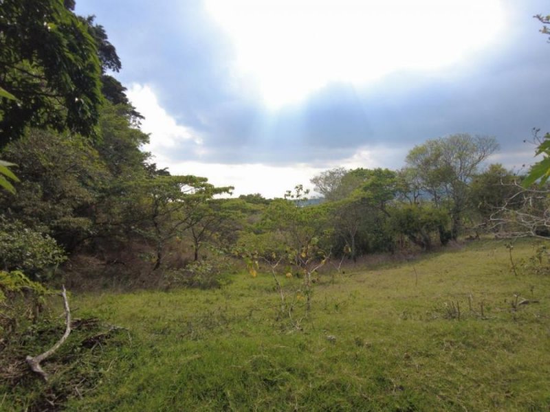 Foto Terreno en Venta en San Luis, Santo Domingo, Heredia - ¢ 360.000.000 - TEV77154 - BienesOnLine