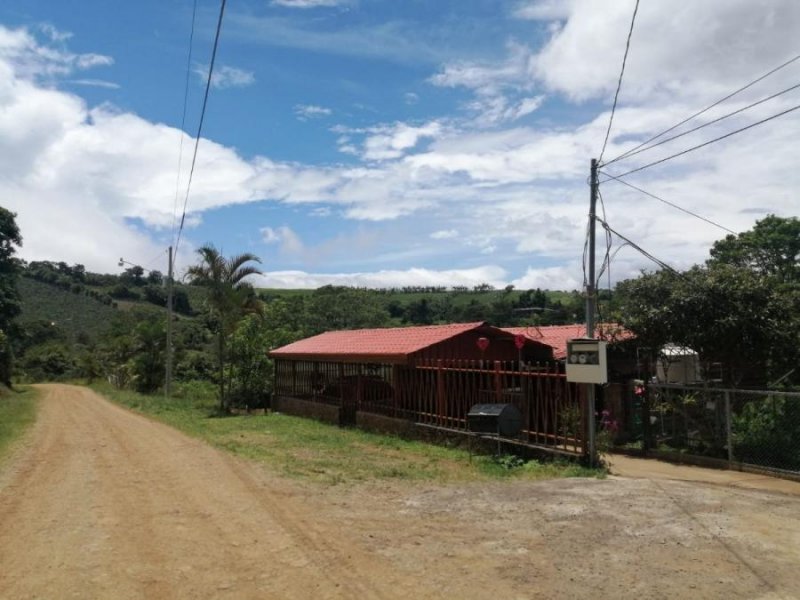 Foto Terreno en Venta en San Juan, Alajuela - ¢ 100.000.000 - TEV50483 - BienesOnLine