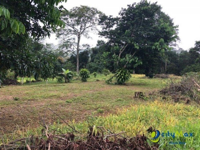 Foto Terreno en Venta en Atenas, Alajuela - ¢ 70.000.000 - TEV18701 - BienesOnLine