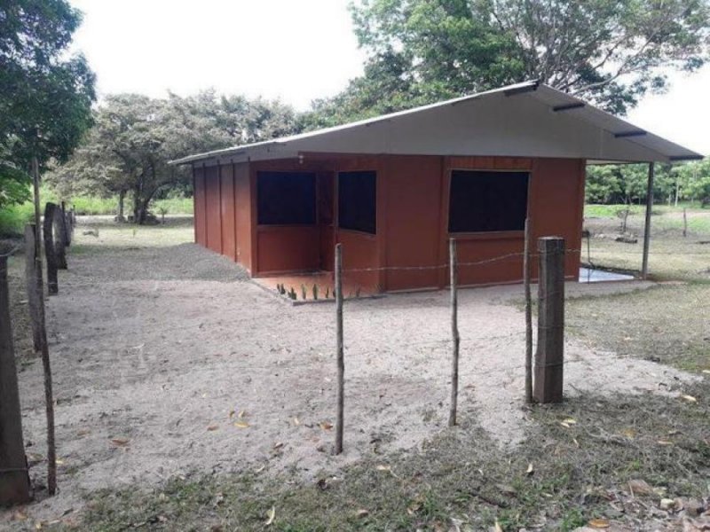 Foto Casa en Venta en Bagaces, Bagaces, Guanacaste - ¢ 18.000.000 - CAV47077 - BienesOnLine