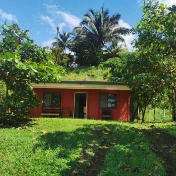 Foto Casa en Venta en Bahía Ballena, Osa, Puntarenas - U$D 95.000 - CAV34387 - BienesOnLine