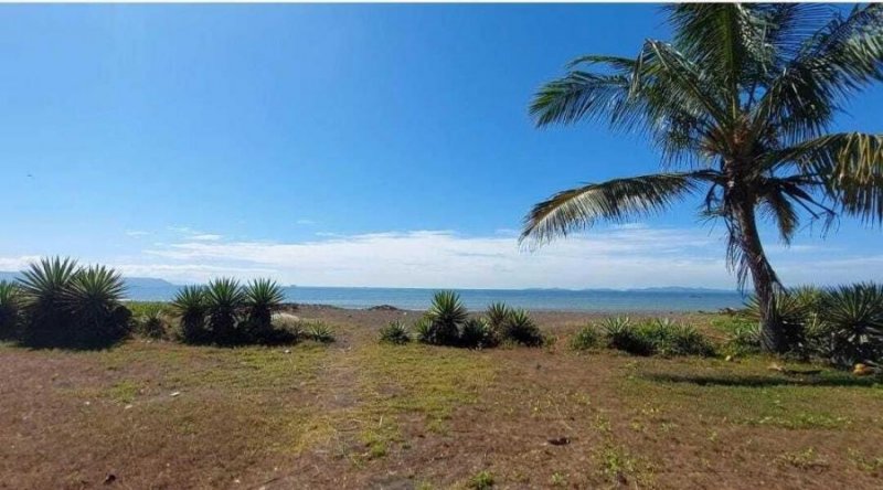 Foto Casa en Venta en Puntarenas, Puntarenas - U$D 310.000 - CAV79874 - BienesOnLine