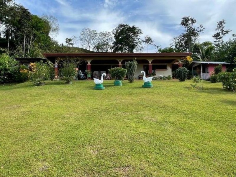 Foto Casa en Venta en San Carlos, Alajuela - ¢ 80.000.000 - CAV95579 - BienesOnLine