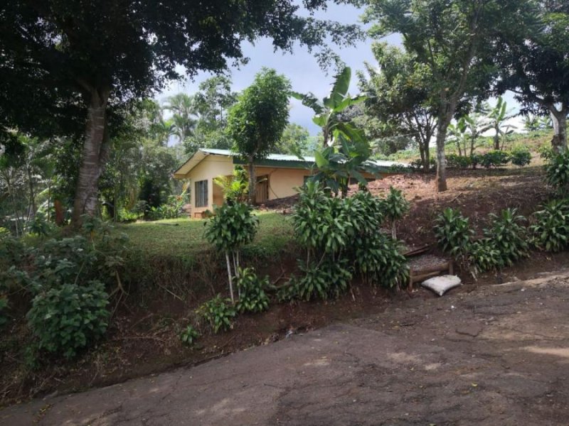 Foto Finca en Venta en San Miguel, Naranjo, Alajuela - U$D 2.600.000 - FIV55298 - BienesOnLine