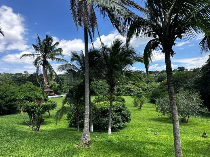 Terreno en Venta en  Carrillos, Alajuela