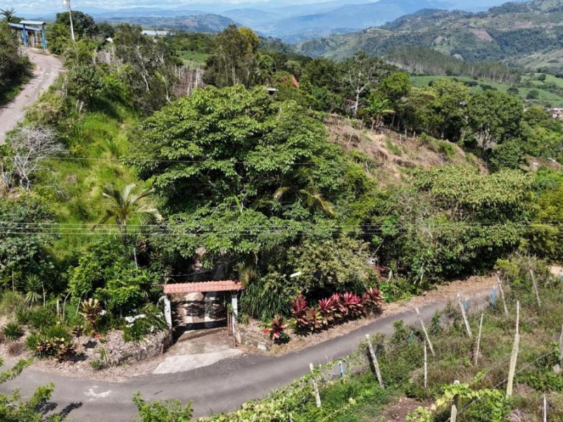 Finca en Venta en  Cervantes, Cartago