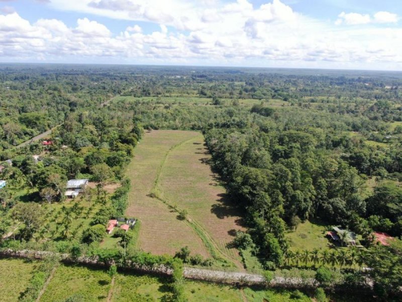 Venta de Finca en El Cairo de Siquirres, Limón.