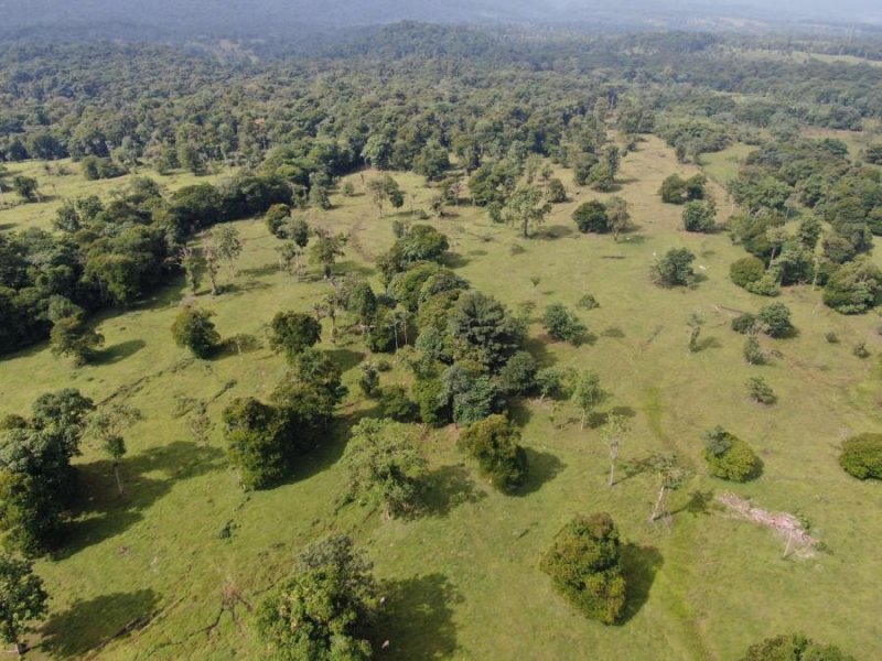 Finca en Venta en Horquetas Sarapiquí, Heredia