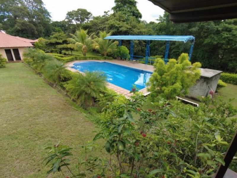 Finca en Venta en Labrador, San Mateo Orotina, Alajuela