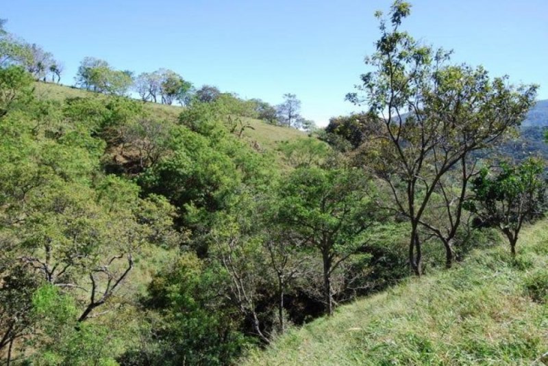 Venta de Finca en Rio Oro Santa Ana San José 