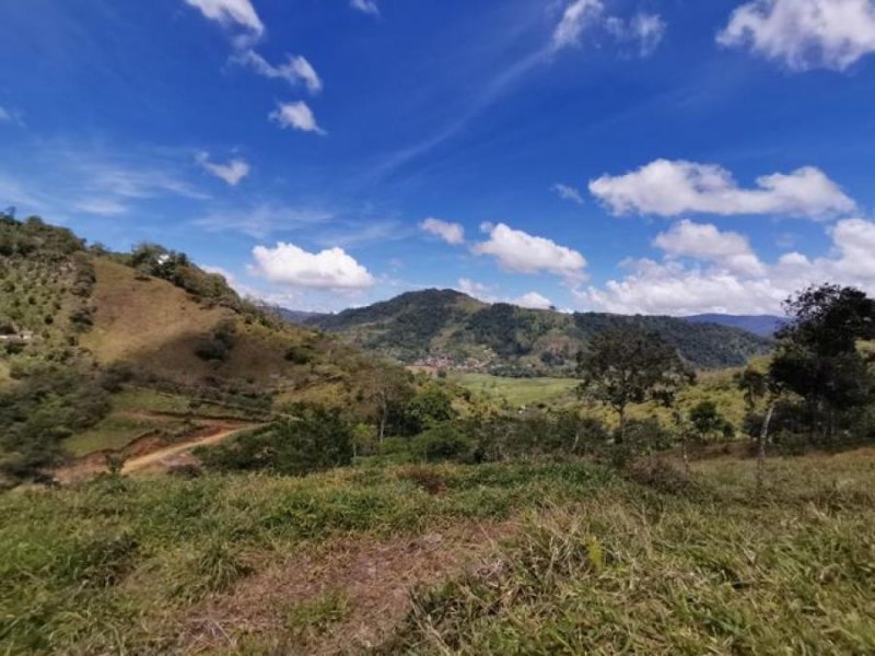 Foto Finca en Venta en Tayutic, Turrialba, Cartago - ¢ 65.000.000 - FIV50669 - BienesOnLine