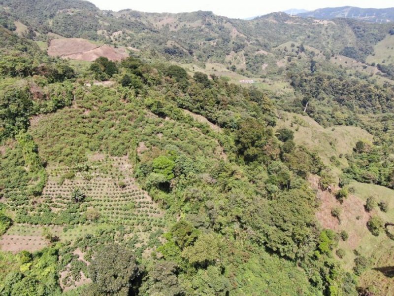 Venta de Finca en Vara El Roble de El Guarco, Cartago.