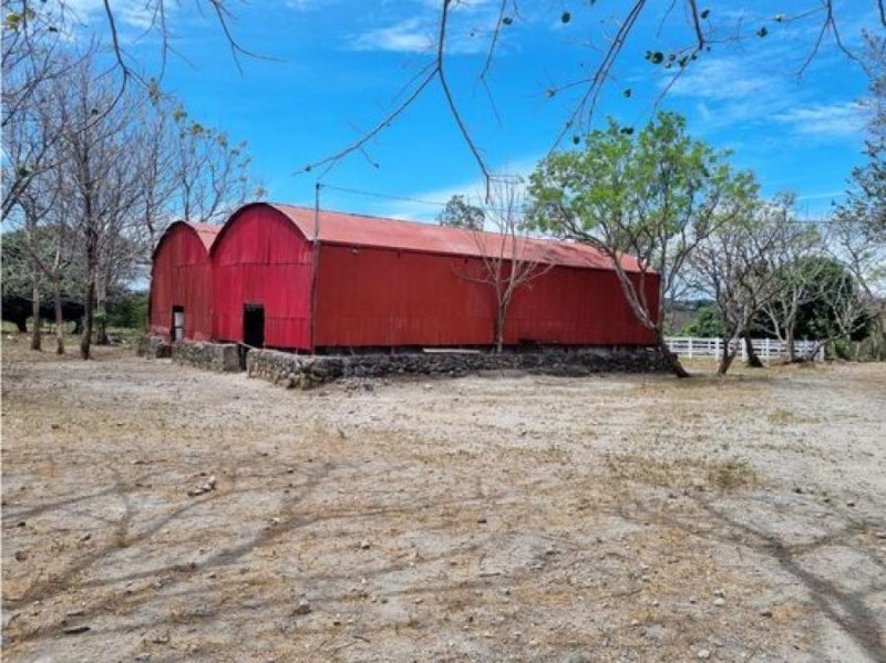 VENTA DE FINCA GUANACASTE, CAÑAS, PALMIRA, VALLE ESCONDIDO