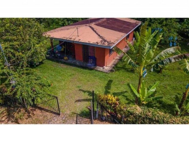 Terreno en Venta en  Pococí, Limón