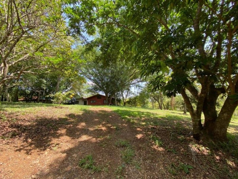 Venta de Finca Tipo Quinta con Casa en Mora, San José. RAH 24-1607