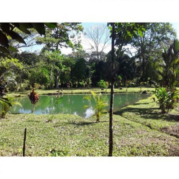 Finca en Venta en  San Carlos, Alajuela