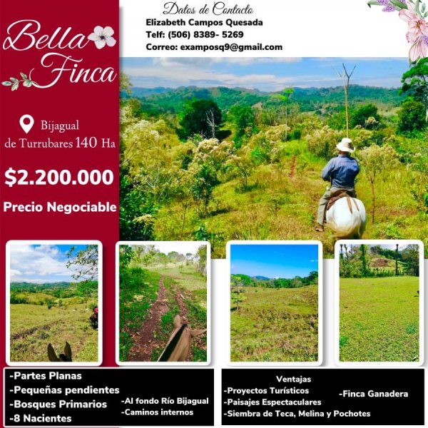 Foto Finca en Alquiler en Turrubares, San José - 140 hectareas - U$D 2.200.000 - FIA46120 - BienesOnLine