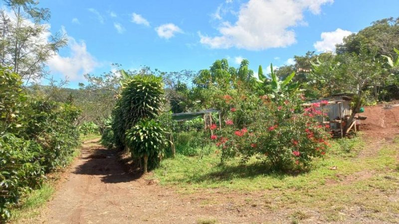 Casa en Venta en San Gabriel Aserrí, San José