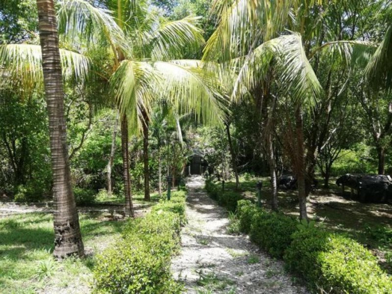 Foto Comercio en Venta en Parque Nacional Barra Honda, Nicoya, Guanacaste - ¢ 136.000.000 - CMV42770 - BienesOnLine