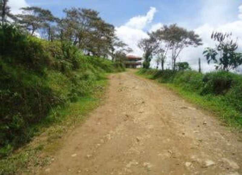 Finca en Venta en  Turrialba, Cartago