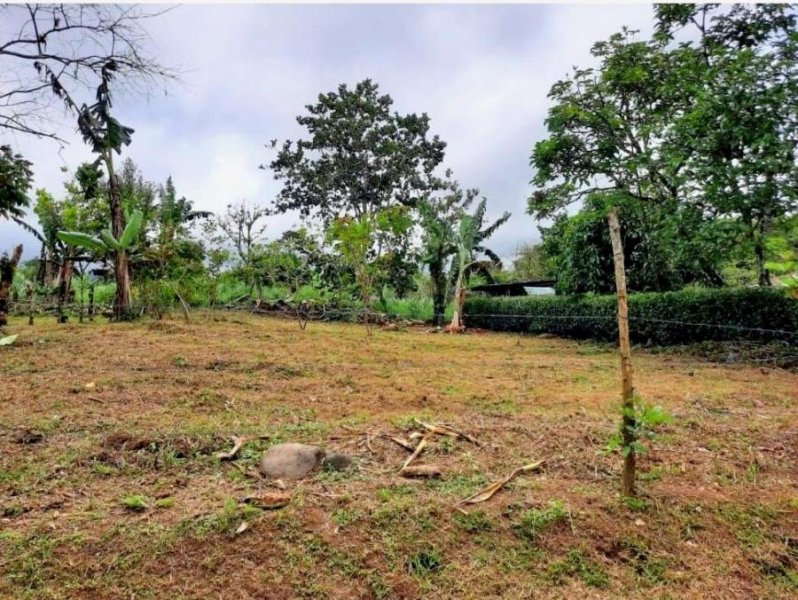 Terreno en Venta en  Río Cuarto, Alajuela