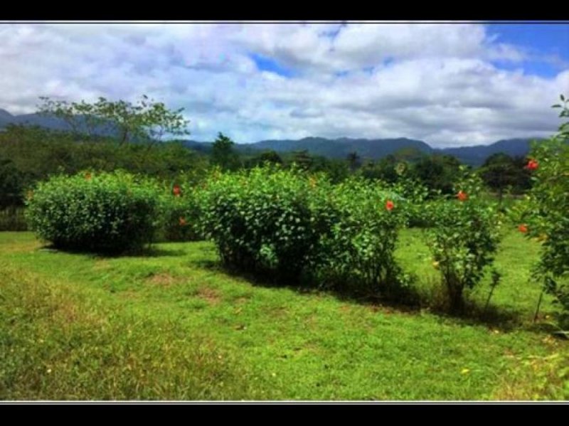 Foto Terreno en Venta en San Carlos, Alajuela - U$D 27.500 - TEV77791 - BienesOnLine