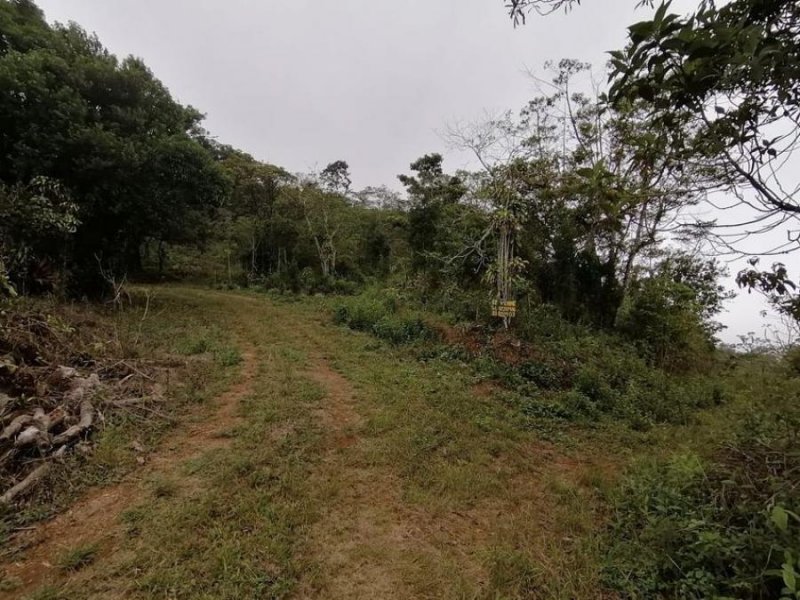 Foto Terreno en Venta en San Ramón, Alajuela - U$D 105.000 - TEV66766 - BienesOnLine