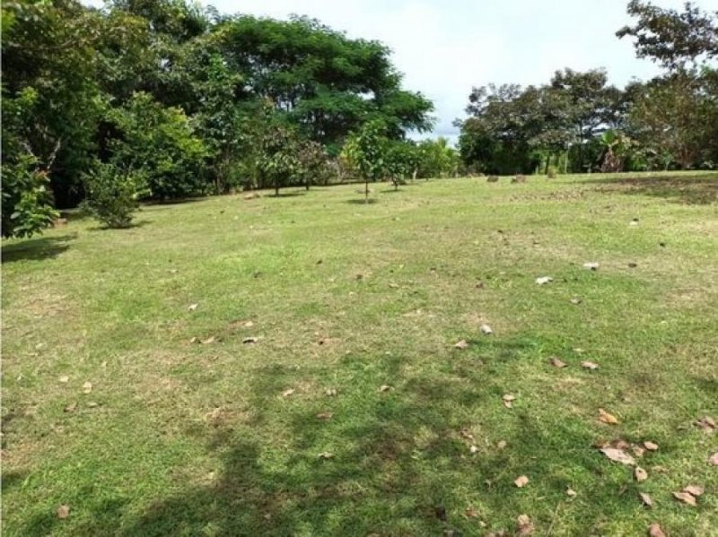 Terreno en Venta en  San Mateo, Alajuela