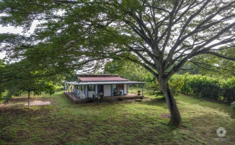 Terreno en Venta en  Garabito, Puntarenas