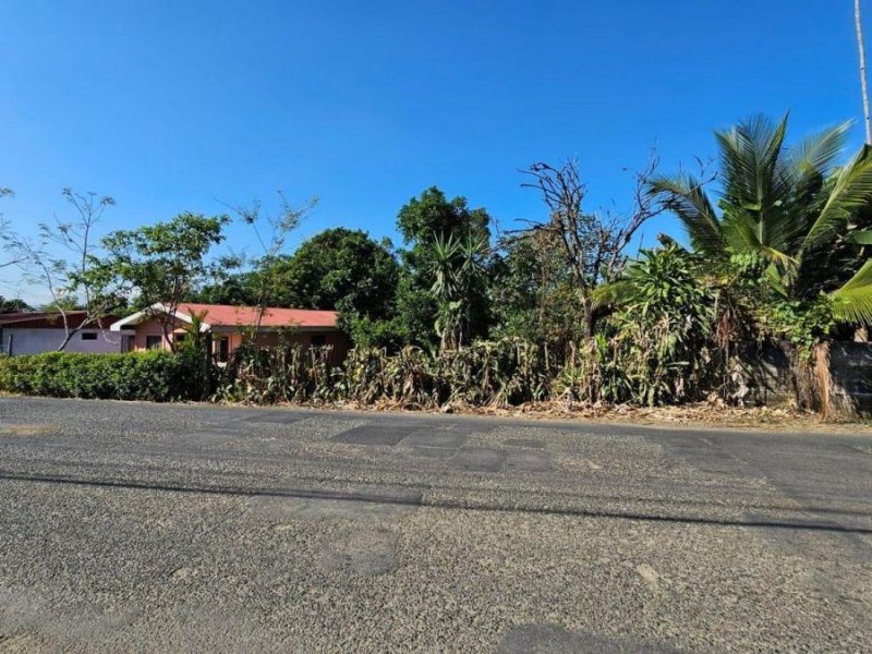 Terreno en Venta en Daniel Flores Perez Zeledón, San José