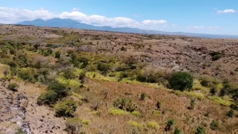 Venta de lote de 220 Hectáreas en Bagaces Guanacaste MGA