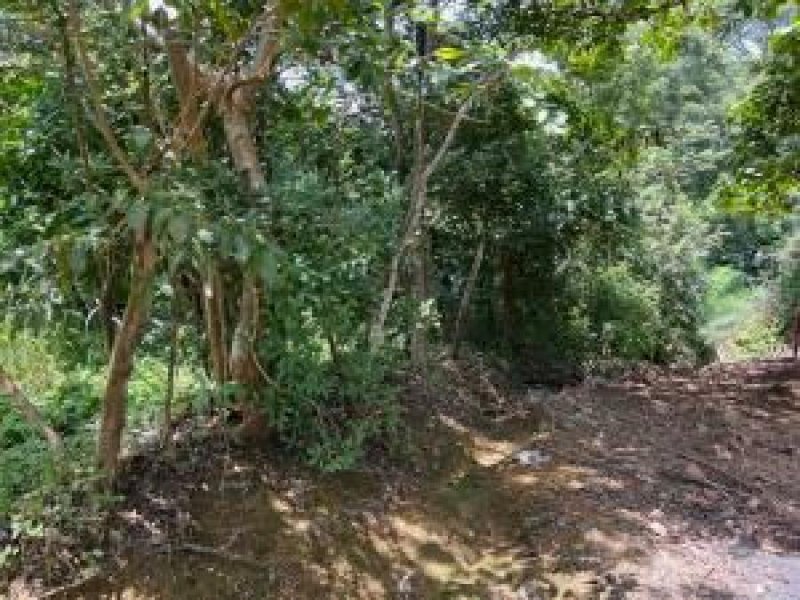 Venta de Lote de Terreno en Atenas, Alajuela / OFC