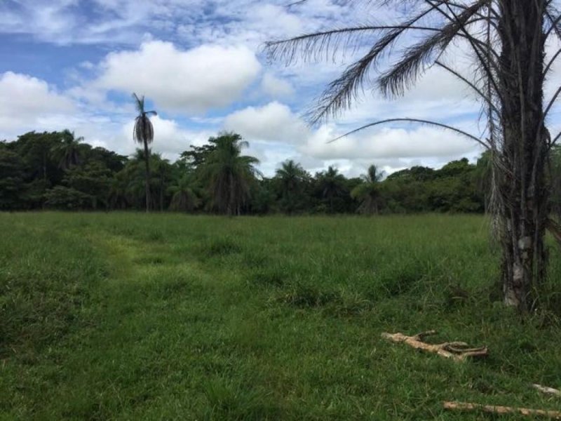 Foto Terreno en Venta en Abanganres, Guanacaste - U$D 2.000.000 - TEV40457 - BienesOnLine