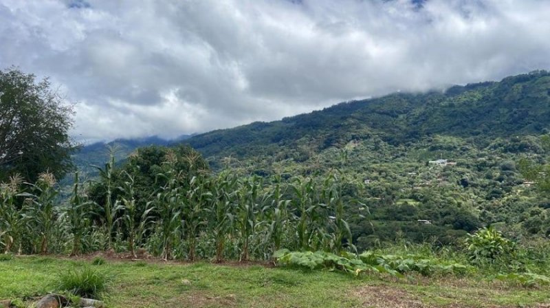 Terreno en Venta en  Acosta, San José