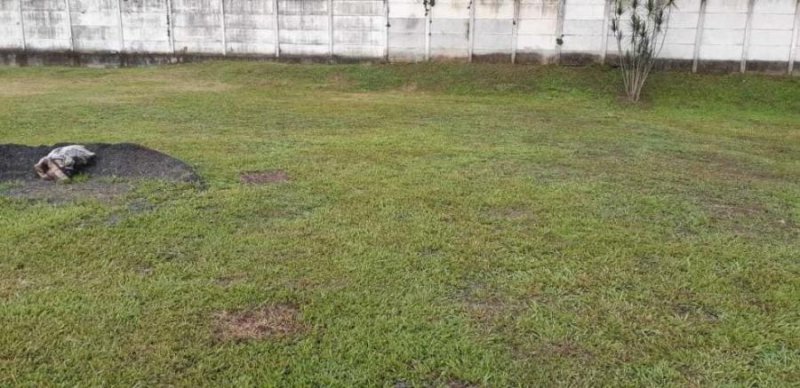 Foto Terreno en Venta en Alajuela, Alajuela - ¢ 27.500.000 - TEV17555 - BienesOnLine