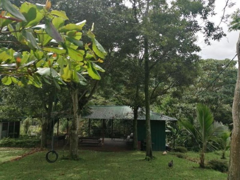 Foto Terreno en Venta en Alajuela, Alajuela - ¢ 159.000.000 - TEV48657 - BienesOnLine